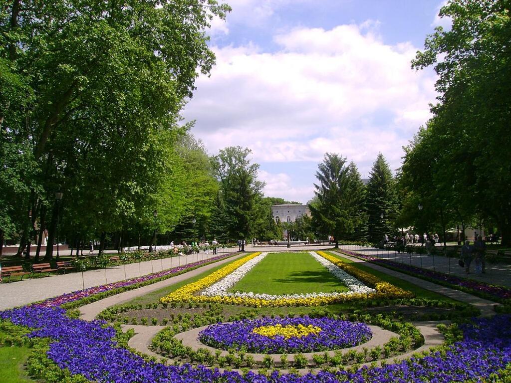 Rezydencja Pod Teznia & Spa Inowroclaw Luaran gambar